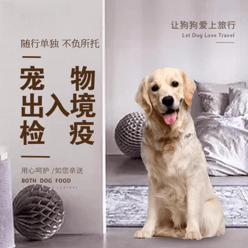 上饶市宠物托运到哥伦比亚猫狗宠物入境规定和