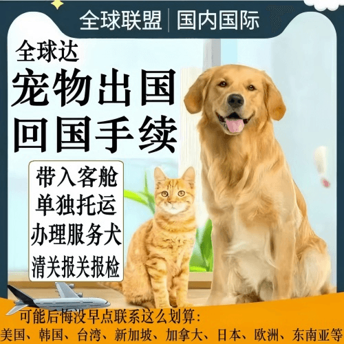 上饶市宠物托运到柬埔寨宠物入境规定和要求