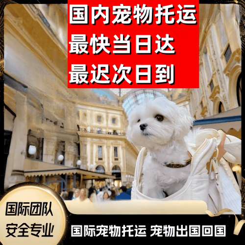 上饶市到澳大利亚（澳洲）宠物入境规定和要求