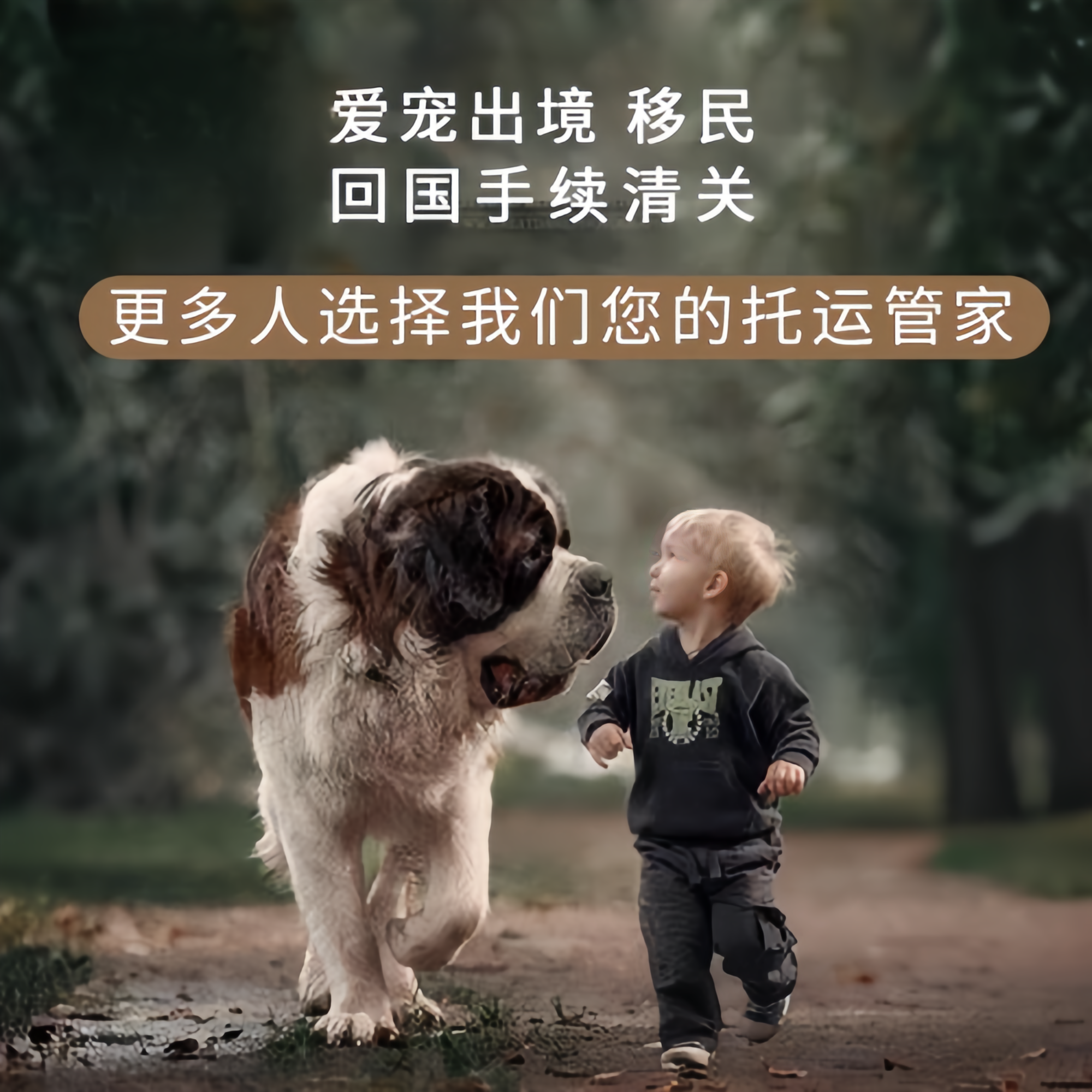 满财上饶市宠物全球达宠物托运在遵守入境目的地政策的条件
