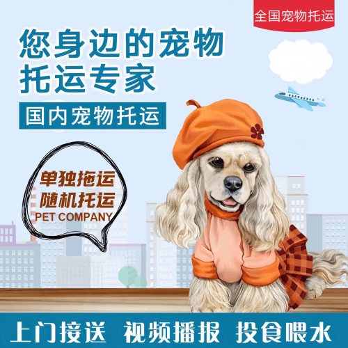 满财上饶市宠物全球达宠物托运作为专业的宠物运输代理机构